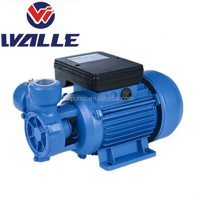 DB Series High Quality Small Vortex Water Household Water Pump